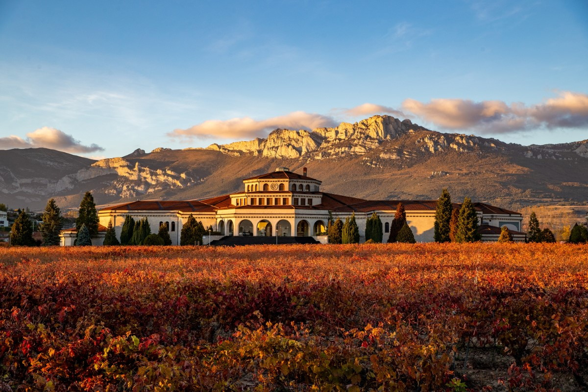 FMZ Bodegas Campillo