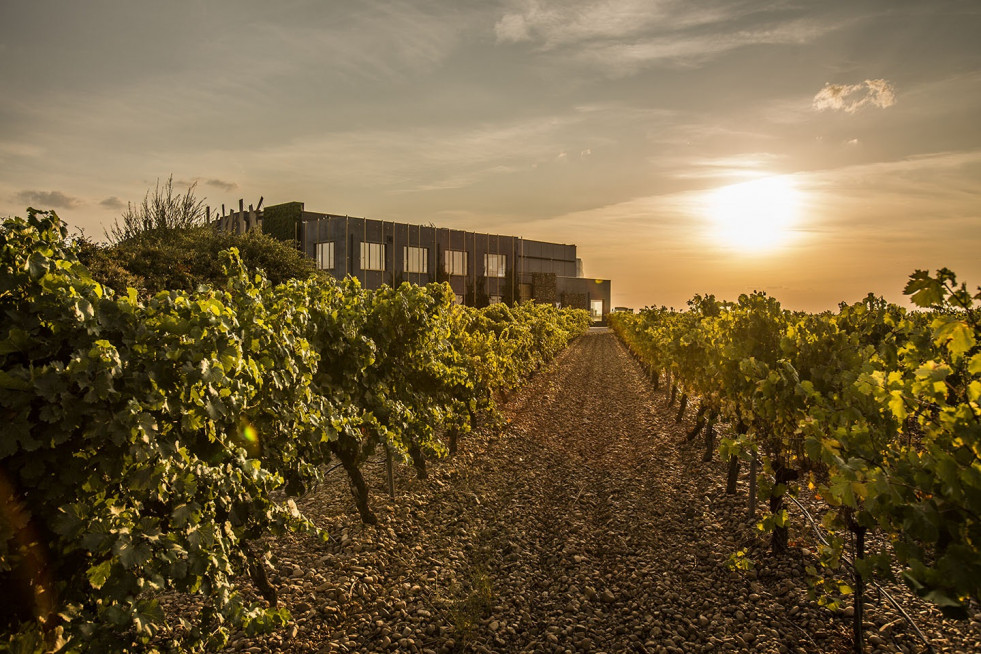 Viñedos y Bodega Menade