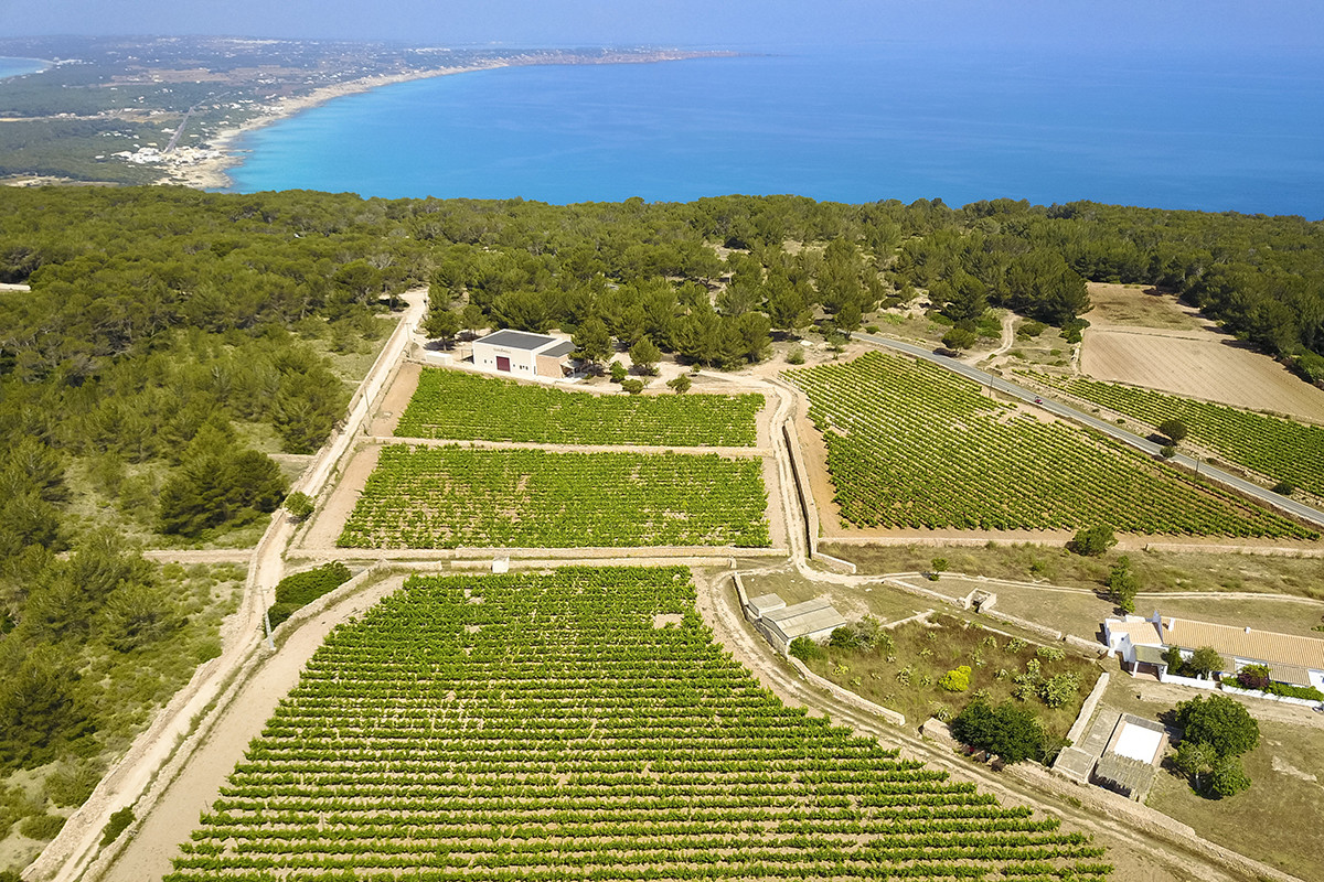 200729 formentera 01