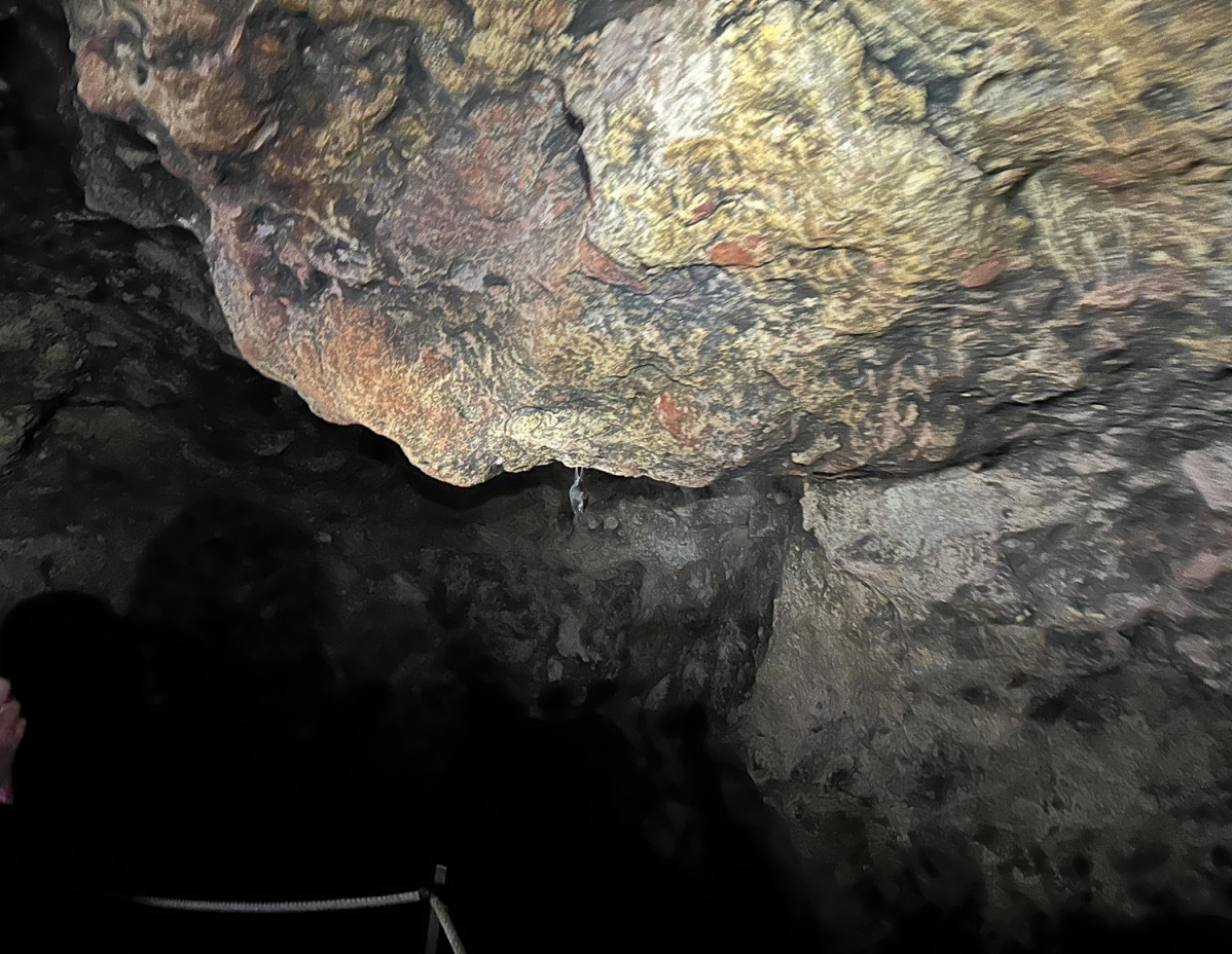Cueva Montesinos, murcielago colgado