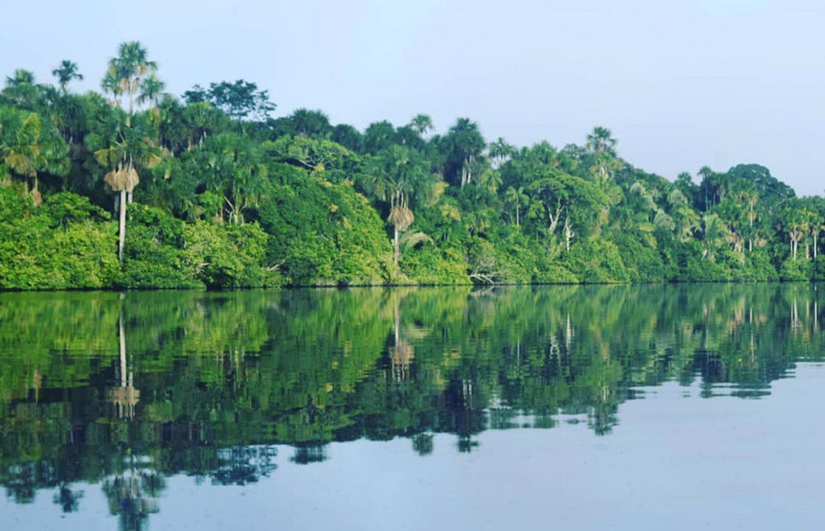 Destination reserva tambopata