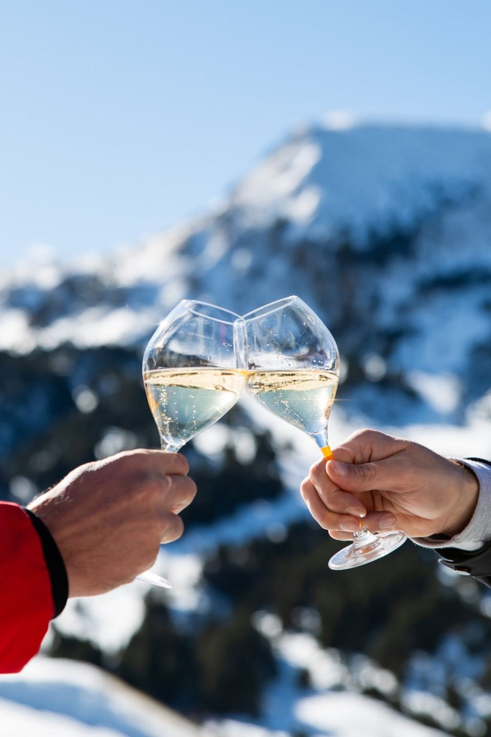 VCANDORRA Brindis