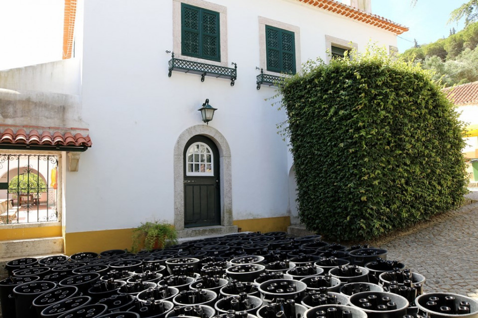 Palacio y Quinta de Subserra