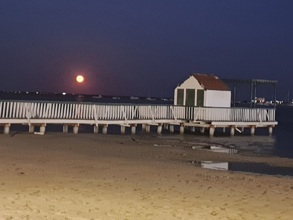 Playa de Villananitos