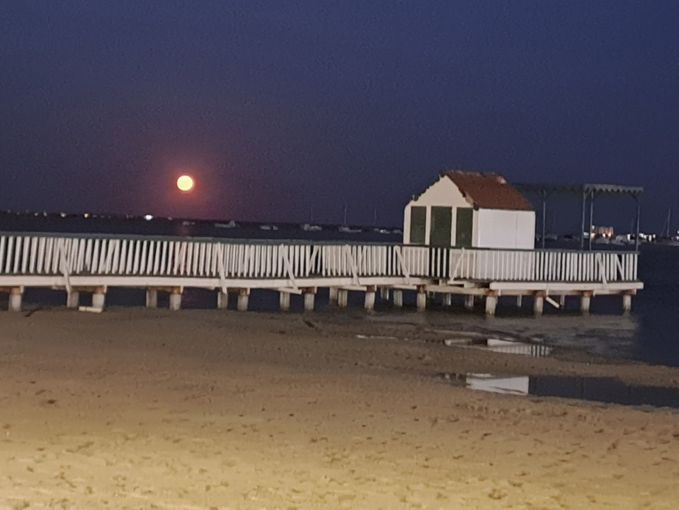 Playa de Villananitos