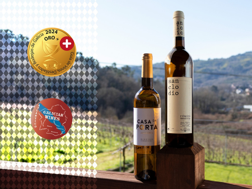 Publicaciones Oro Paadin blog sanclodio WEB