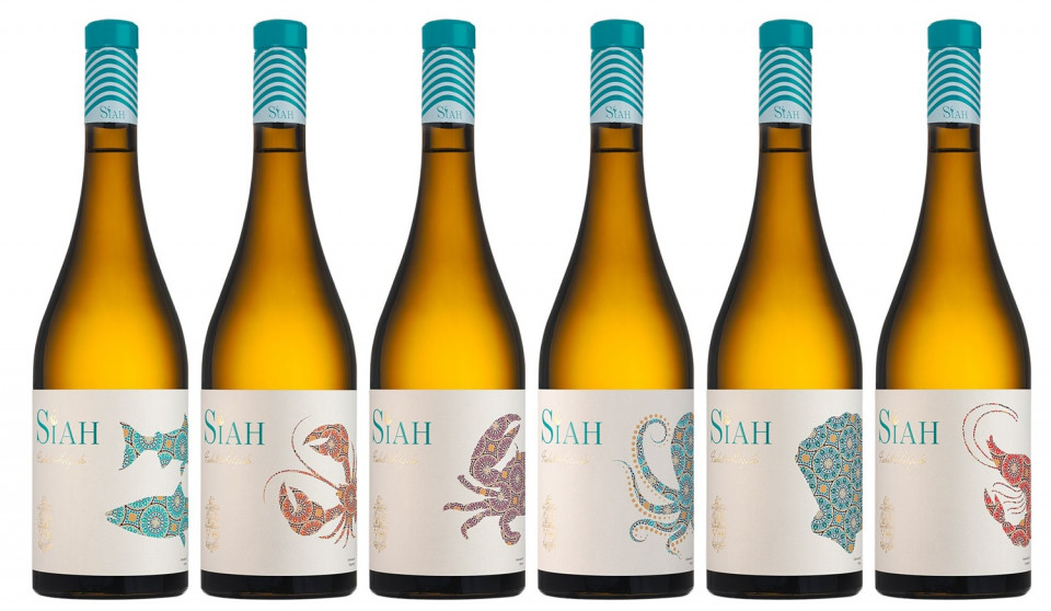 6 Botellas