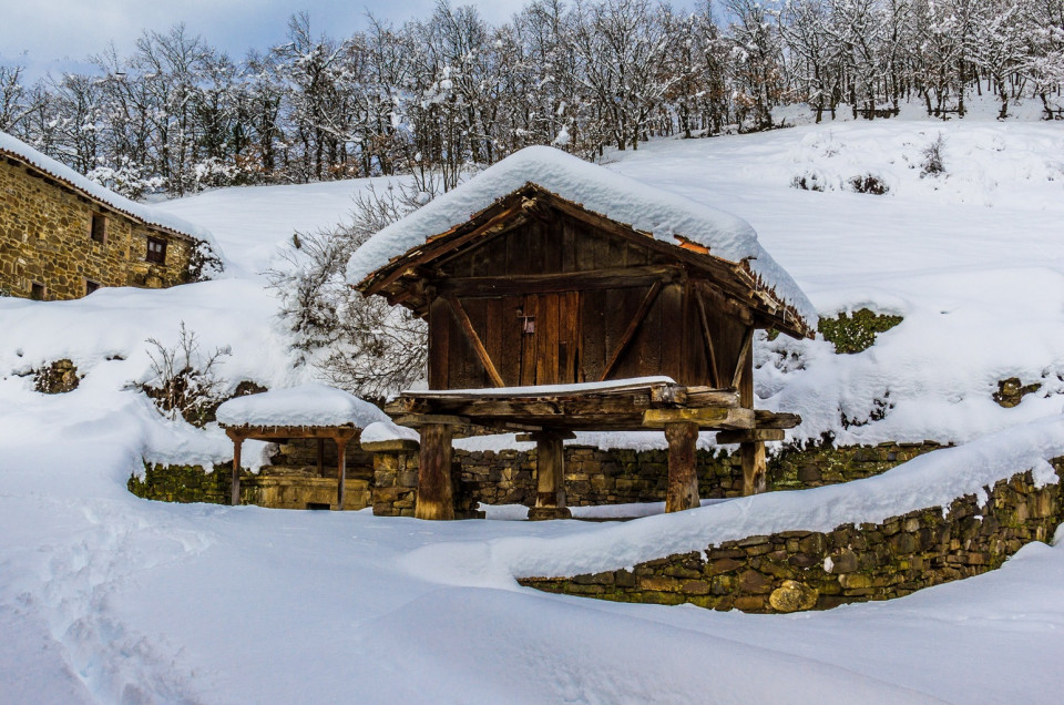 Horreo Pesaguero, La Liébana