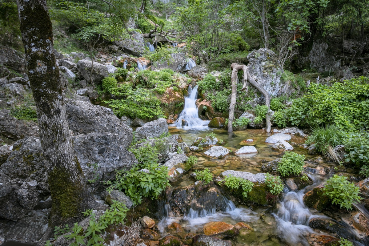 Nacimiento del ru00edo Mundo. Parque Natural de los Calares del Mundo y Sima. Riu00f3par. Sierra de Segura. Albacete (Espau00f1a)
