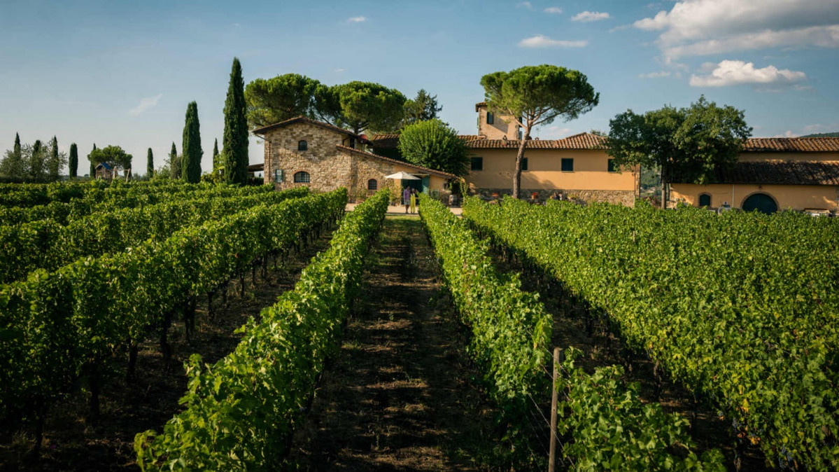 Bodega Viticcio  Toscana