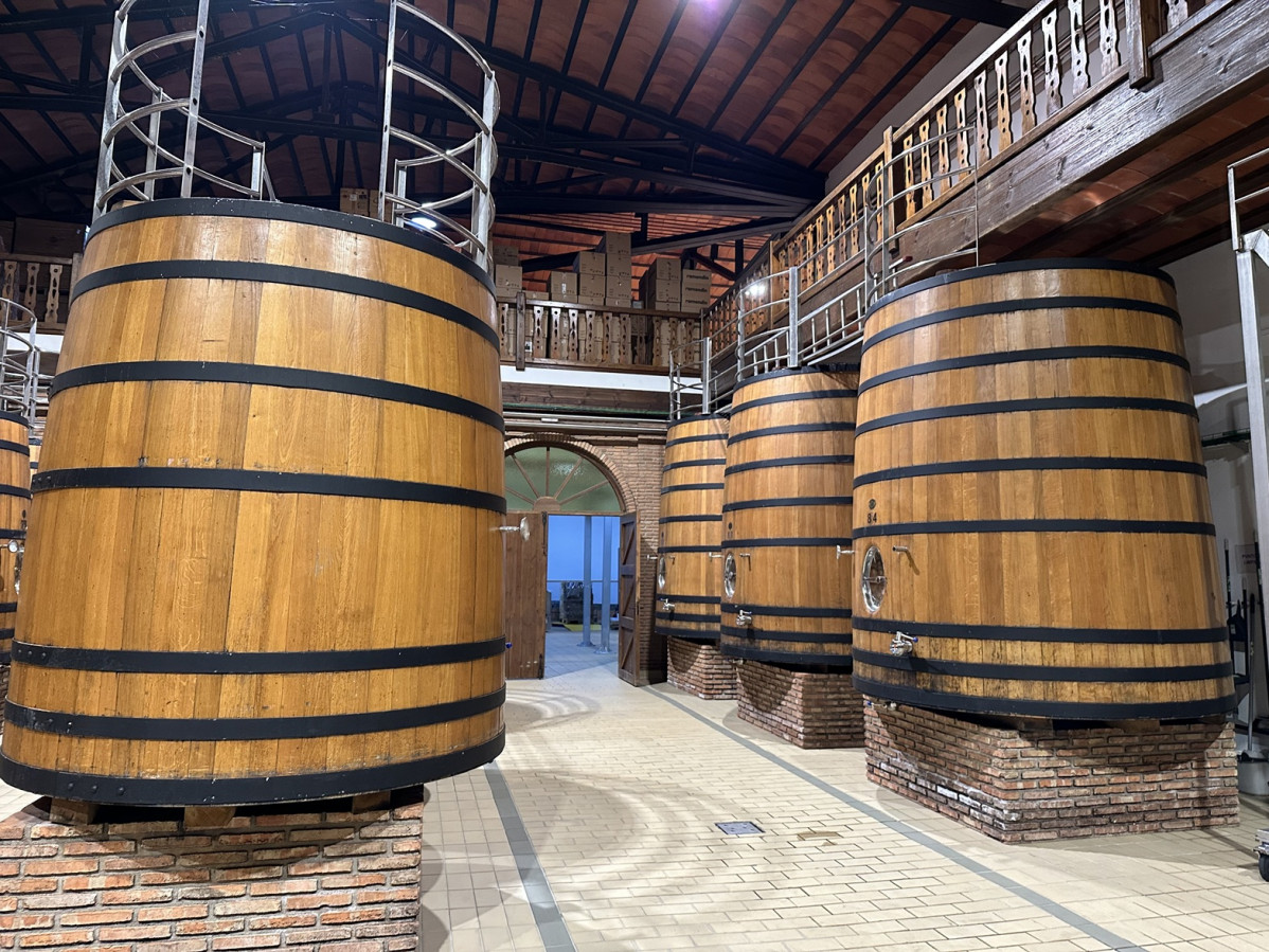 Pago de la Jaraba, Albacete, @AAS,
