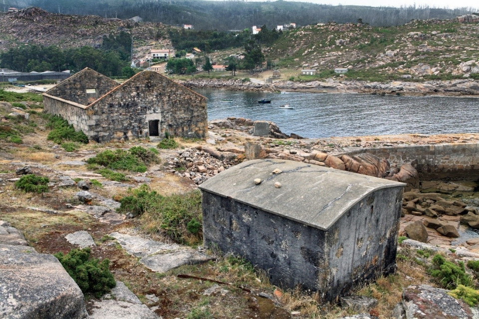 Ballenera (9)