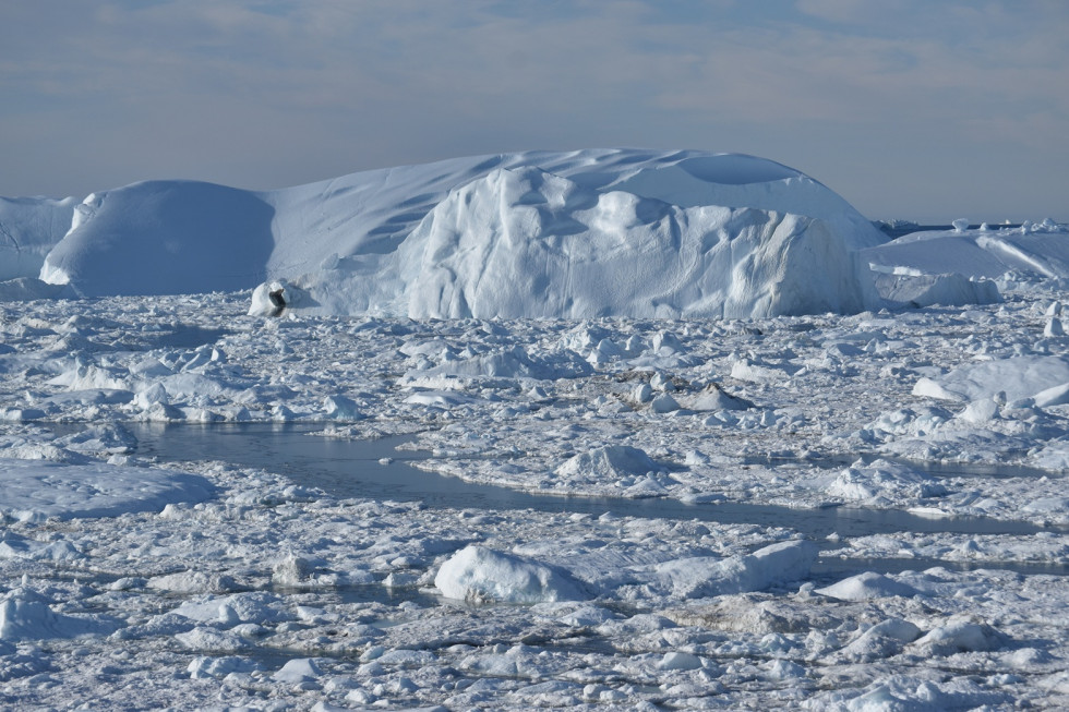 Icebergs flotando entre la Bahía de Baffin y el Mar de Labrador