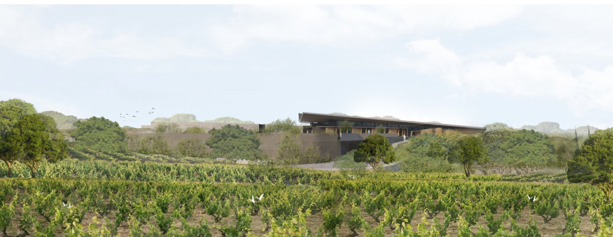 01.BODEGA Y VIu00d1EDOS 
