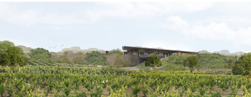 01.BODEGA Y VIÑEDOS