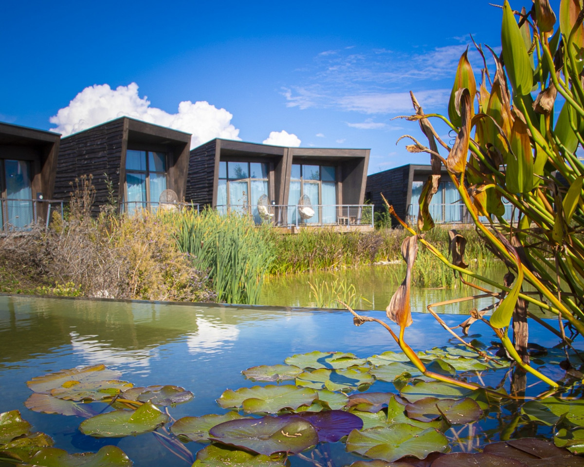 Hotel Ecolodgee