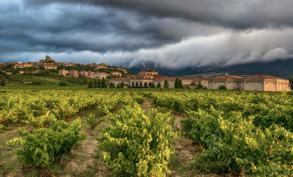 Bodega Campillo Laguardia, Rioja Alavesa