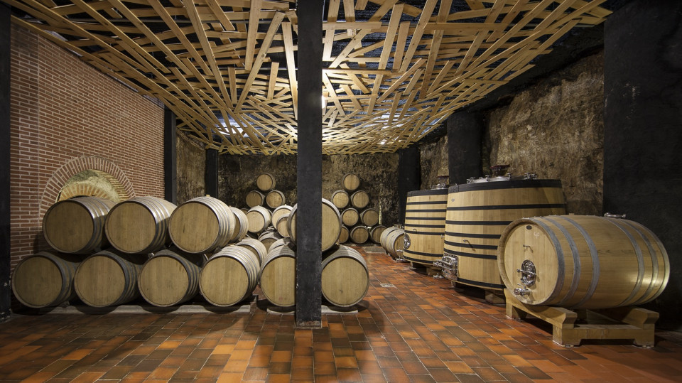 Bodegas Menade, La Seca, Sala de Barricas