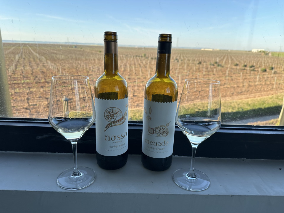 Vinos y Viñedos de Bodegas Menade, @ Antón Alonso