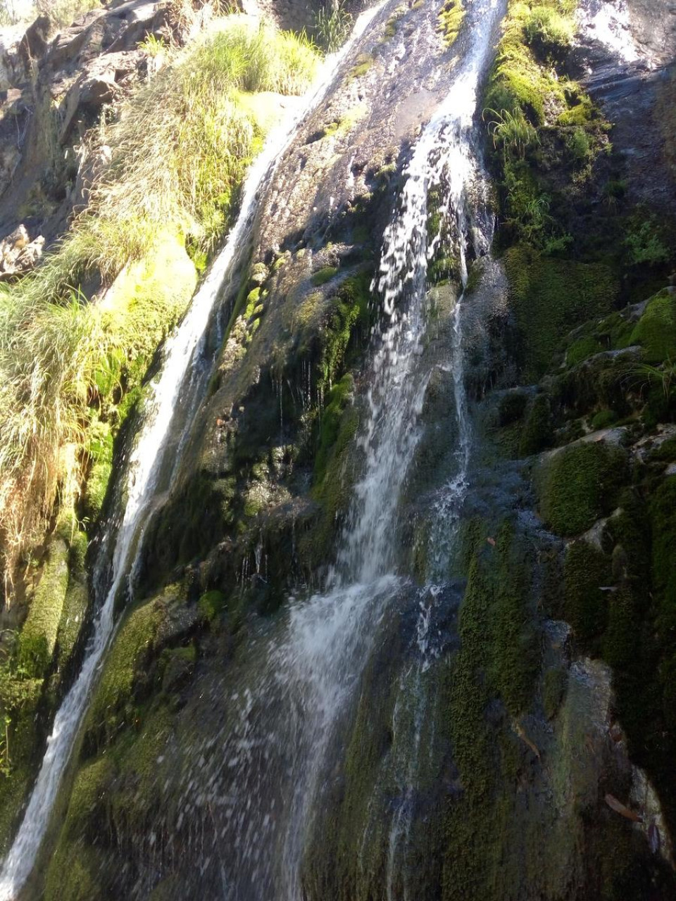 Fervenza de Ribasieira