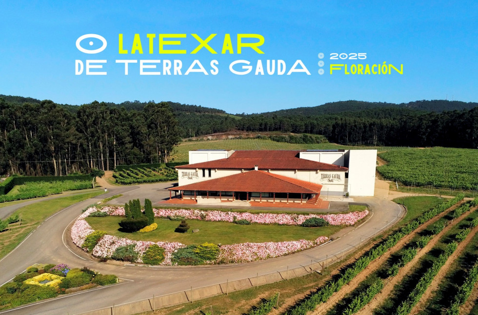 TERRAS GAUDA O LATEXAR