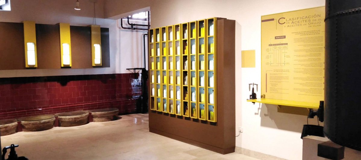 Museo del Olivar y el Aceite de Baena (2)