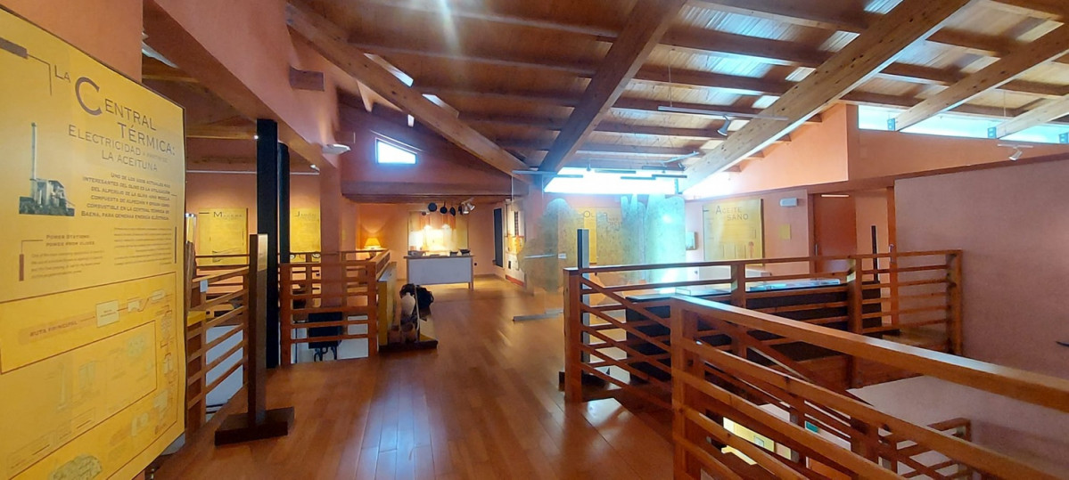 Museo del Olivar y el Aceite de Baena (5)