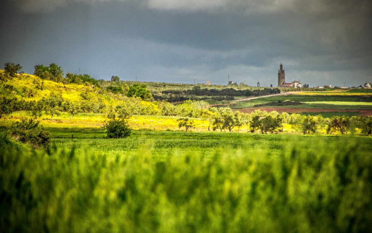 RUTA DEL REY JAYu00d3N (1)
