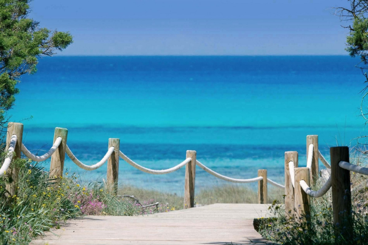 Cavall d'en Borru00e0s, Formentera