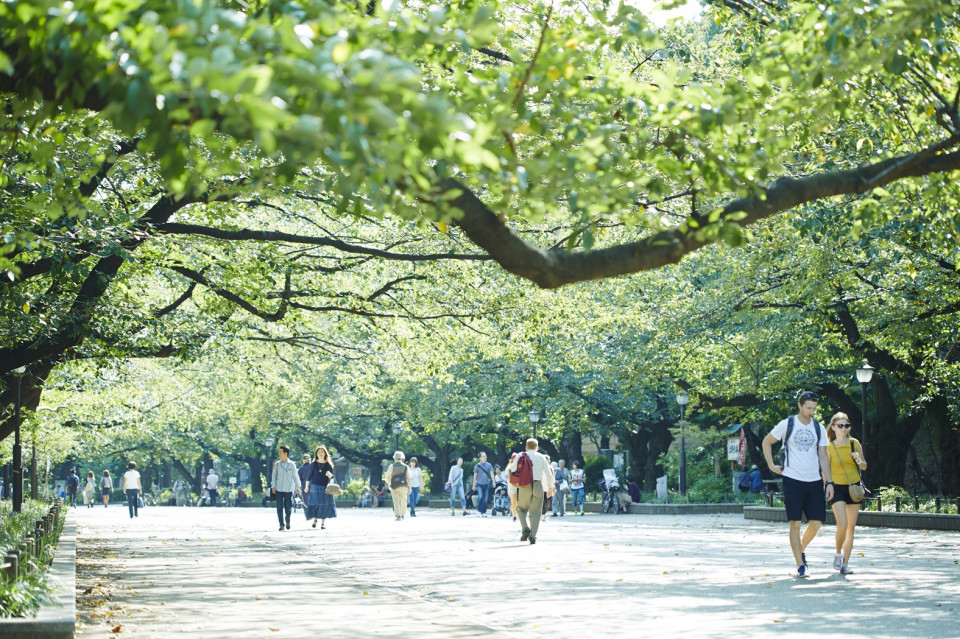 Ueno Park, Tokyo