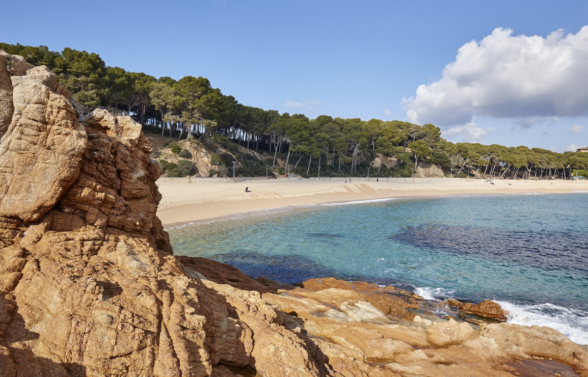 Lloret de Mar, Playa de Fenals