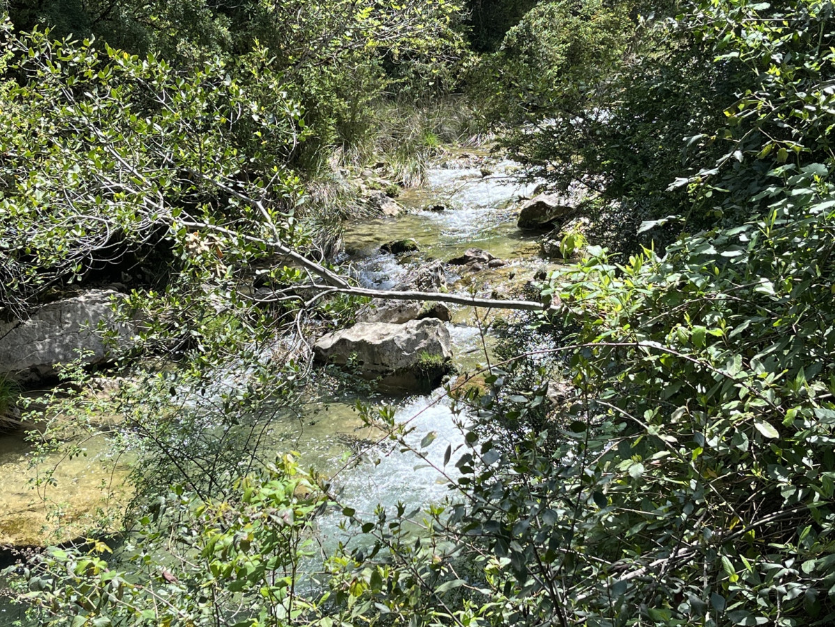 Cerrada de Elu00edas, a orillas del ru00edo Borosa
