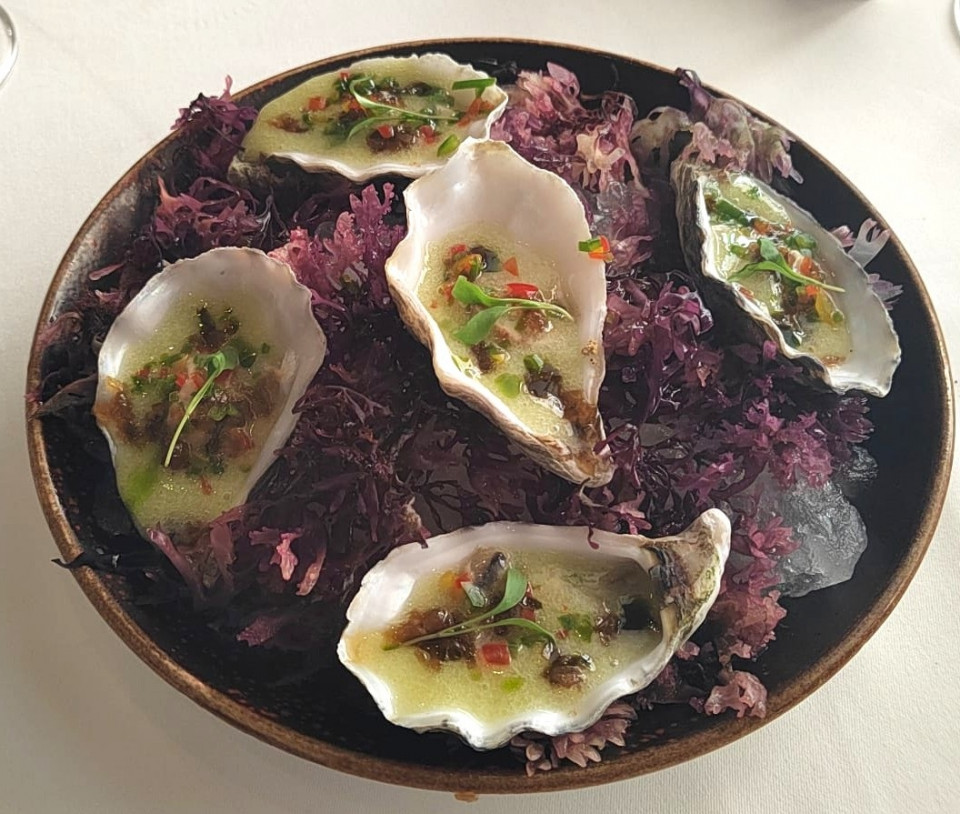 Ostras  Benares
