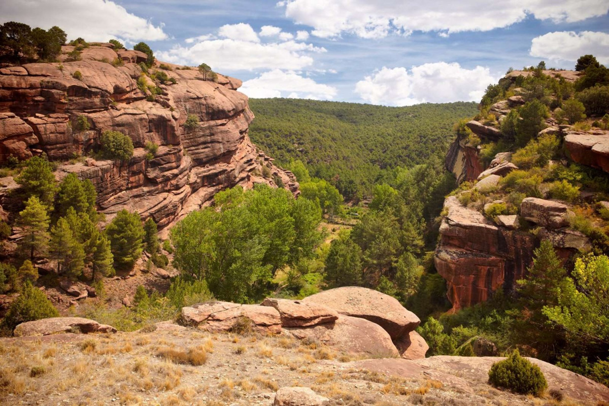 Pinares de Rodeno, panoramica