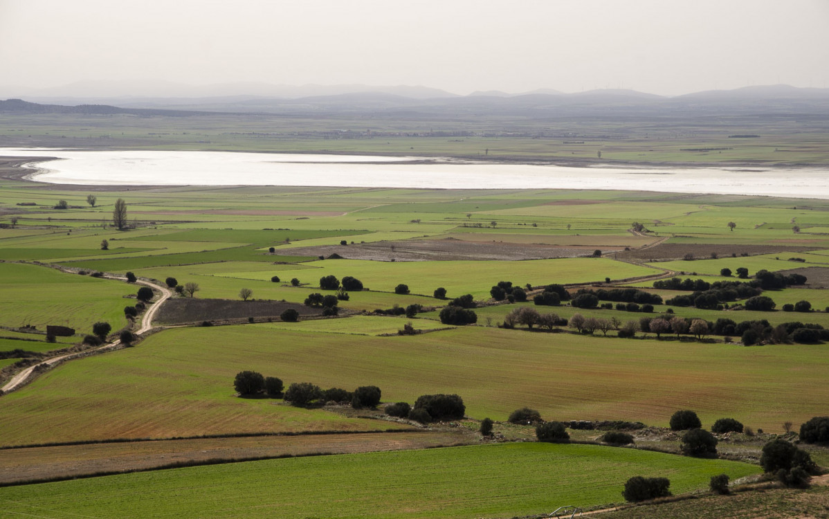 Laguna de Gallocanta, Teruel