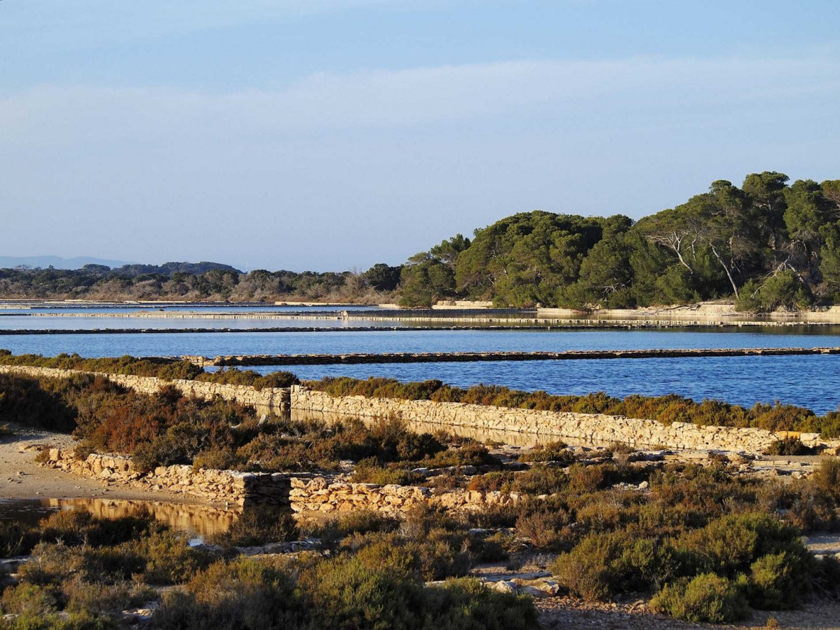 Ses Salines Formentera 49446263