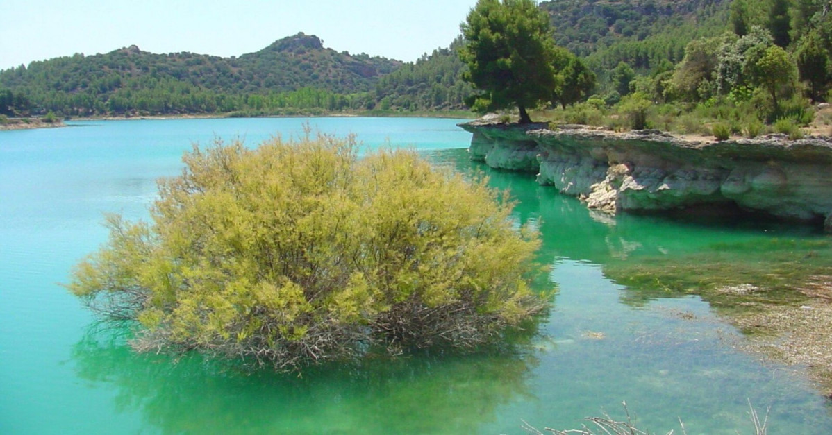 En el parque natural lagunas de ruidera ciudad real albacete castilla la mancha