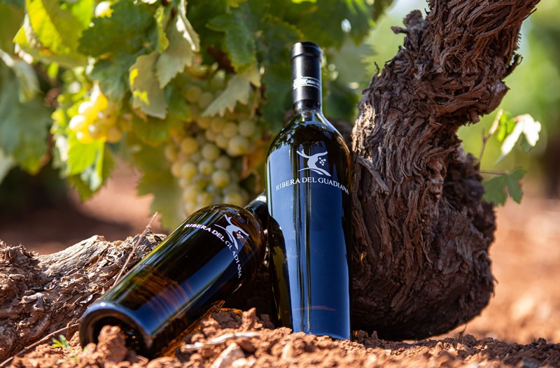 Vinos Ribera del Guadiana
