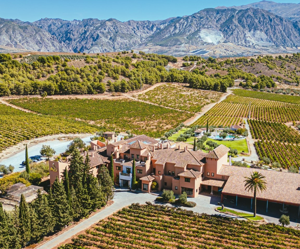 Bodegas Senorio de Nevada, Panoru00e1mica