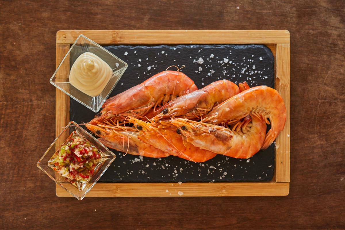 Gastro