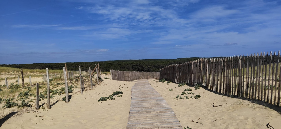 Playa ( dunas) y bosques en la reserva de la Mailloueyre