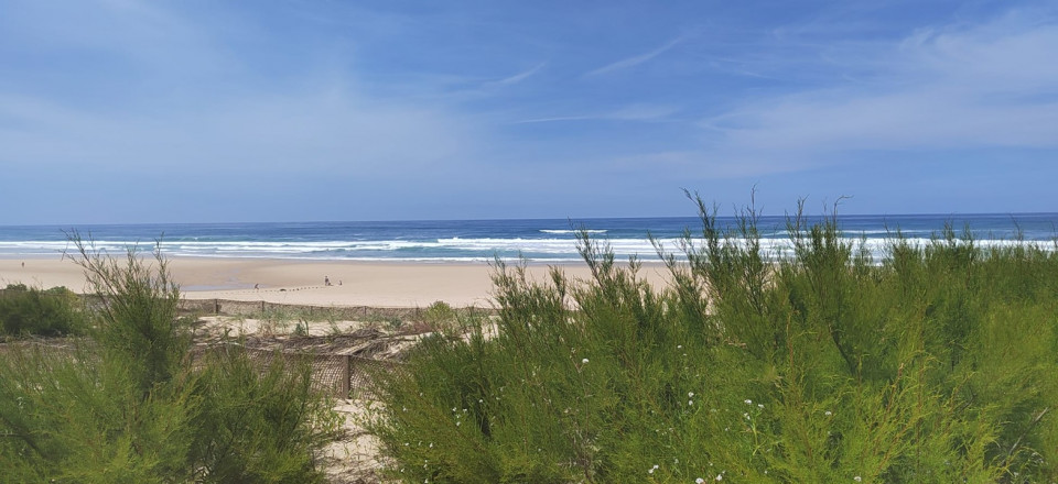 Playa de Mimizan