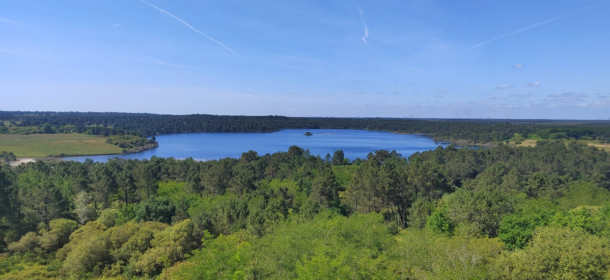 Vistas de la Rserva de Arjuzanx
