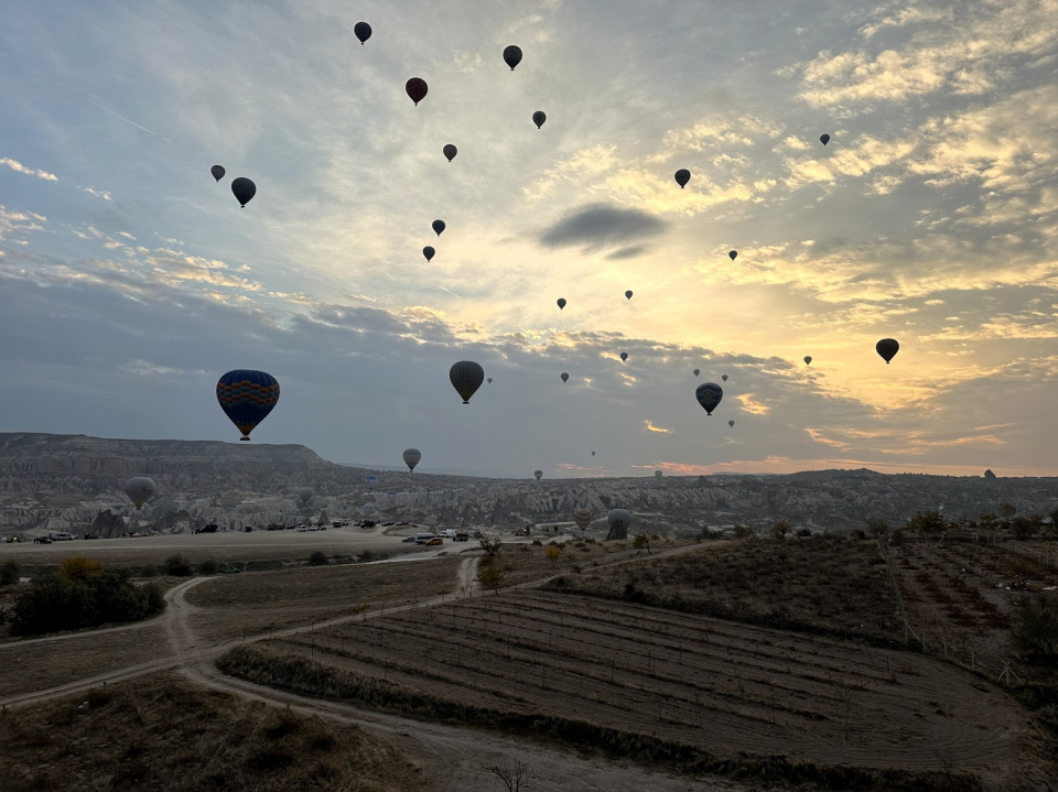 Capadoccia, Vista de Viñedos en Noviembre en el Valle de Göreme, visto desde el Globo, @Antón Alonso S.