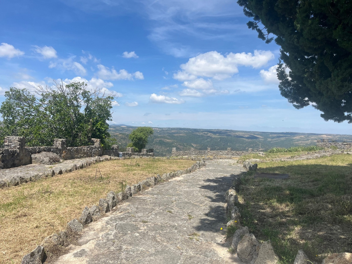 Fermoselle, Castillo Fermoselle