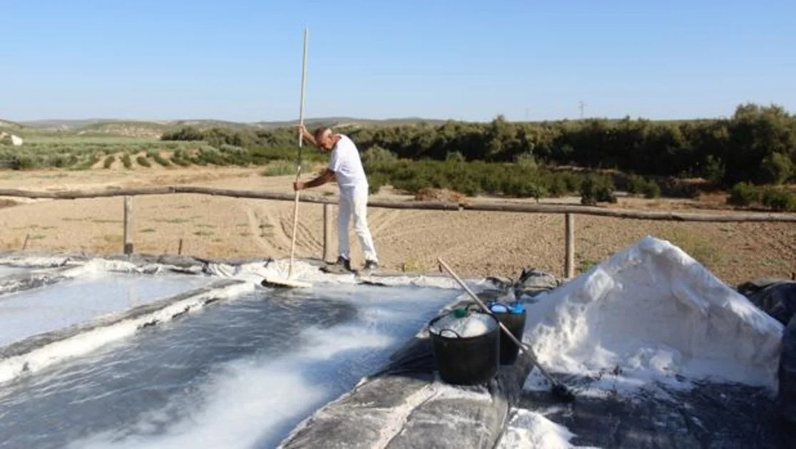 Salina cordoba fottto koFF  1200x630@abc Salinas de Albendu00edn
