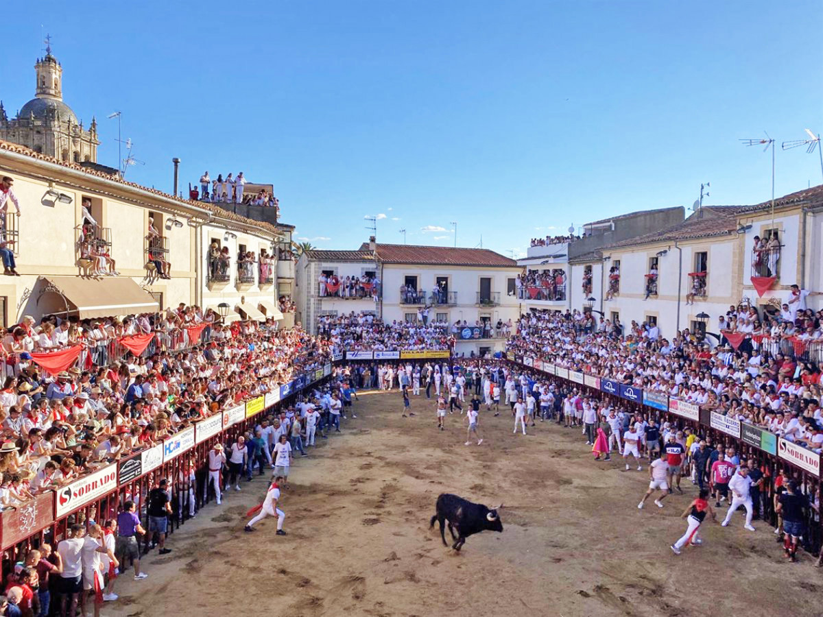 Coria Fiestas San Juan (5)