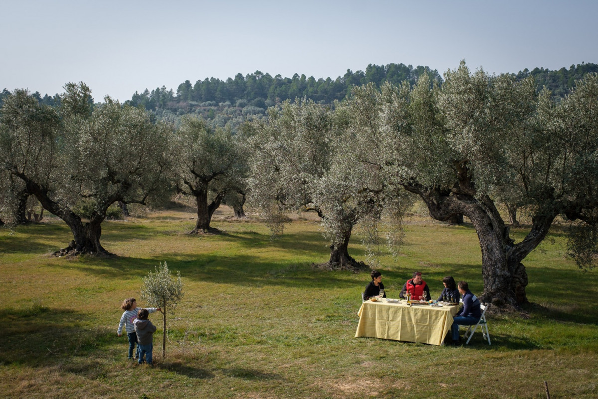 Cata  aceites en Identitat Olive Oil