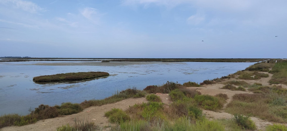 Delta del Ebro