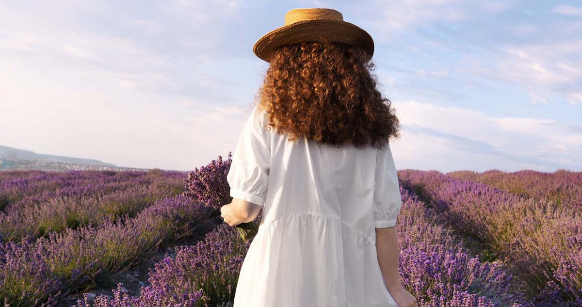 Tiempos de Lavanda